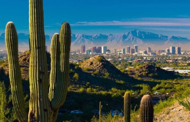 Sewer Camera Inspection Near Me in Mesa, AZ: Your Complete Guide to Local Sewer Diagnostics and Repairs