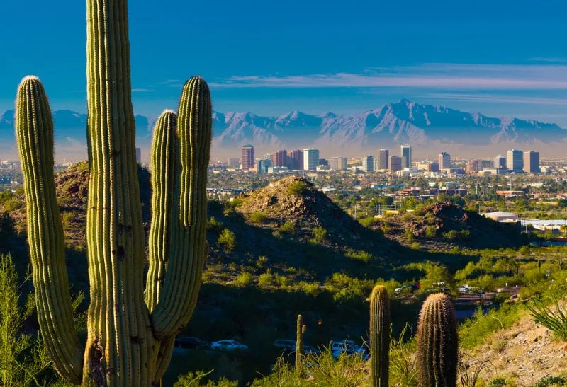 Cacti in the desert foreground with city skyline and mountains, showcasing Pipeliners USA's sewer repair services.