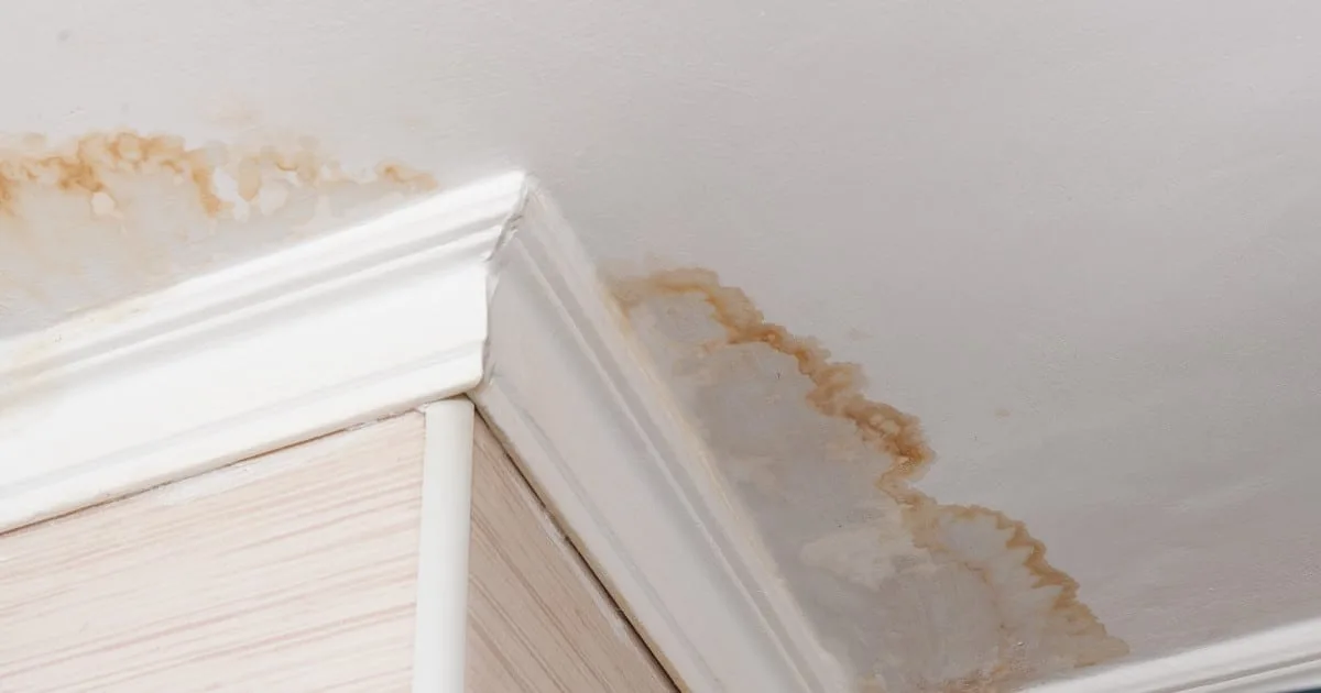 Signs of Outdated Sewer & Drain Pipes