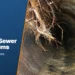 7 Common Causes of Phoenix Sewer Line Problems