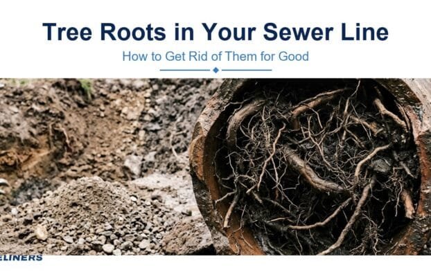 How to Get Rid of Tree Roots in Sewer Line