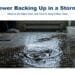Homeowner reacting to a sewer backup at a floor drain during a monsoon storm in Mesa, AZ, Pipeliners USA