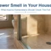 Sunlit guest shower with a dry floor drain in an Arizona home that sat empty over the summer